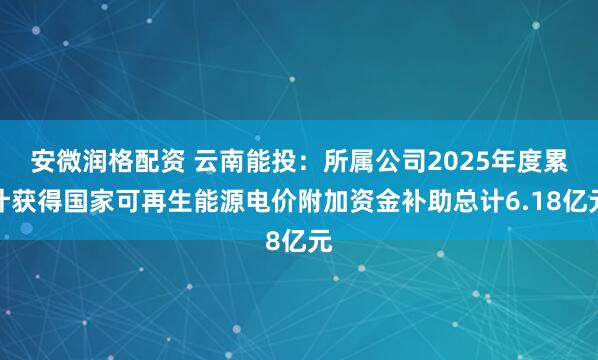 安微润格配资 云南能投：所属公司2025年度累计获得国家可再生能源电价附加资金补助总计6.18亿元