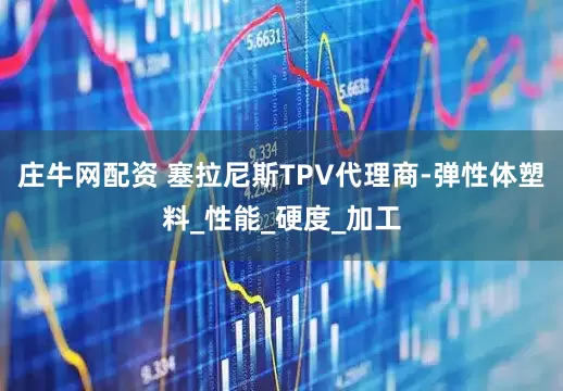 庄牛网配资 塞拉尼斯TPV代理商-弹性体塑料_性能_硬度_加工